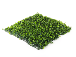 Hawaj Buxus High Premium műsövény | 100 x 100 cm Hawaj Buxus High Premium műsövény | 100 x 100 cm