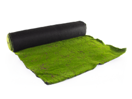 Hawaj Moha Moss műsövény | 1 x 5 m