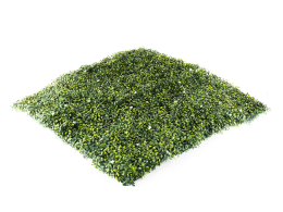 Hawaj virágos Buxus műsövény | 100 x 100 cm Hawaj virágos Buxus műsövény | 100 x 100 cm