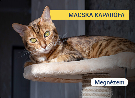 MACSKA KAPARÓFA