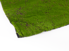 Hawaj moha Moss műsövény | 1 x 3 m