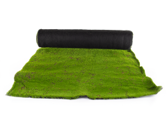 Hawaj Moha Moss műsövény | 1 x 5 m
