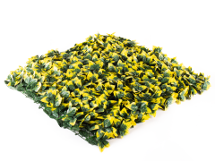 Hawaj sárga babérmeggy műsövény | 100 x 100 cm