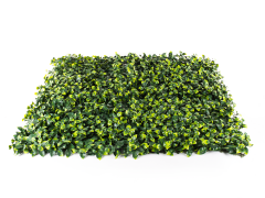 Hawaj virágos Buxus High műsövény | 100 x 100 cm