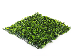 Hawaj Buxus High Premium műsövény | 100 x 100 cm