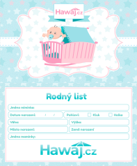 Romi reborn baba 60 cm