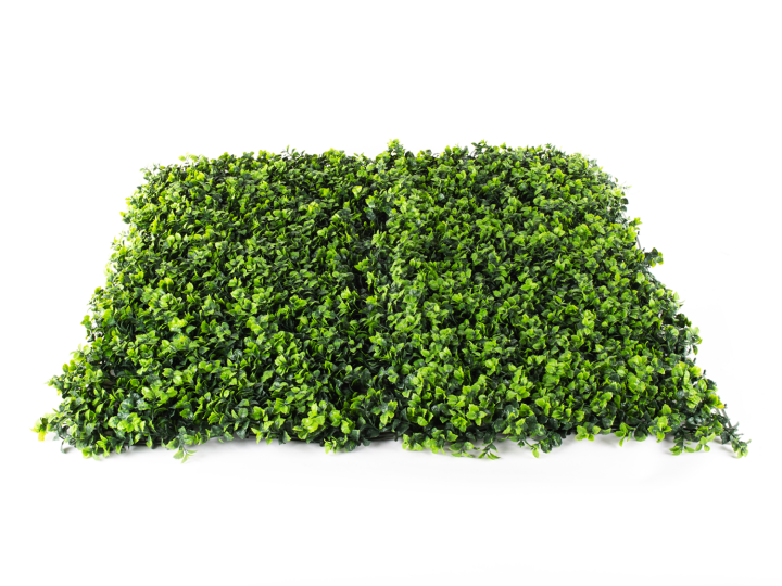 Hawaj zöld Buxus High műsövény | 100 x 100 cm Hawaj Buxus High Premium műsövény | 100 x 100 cm