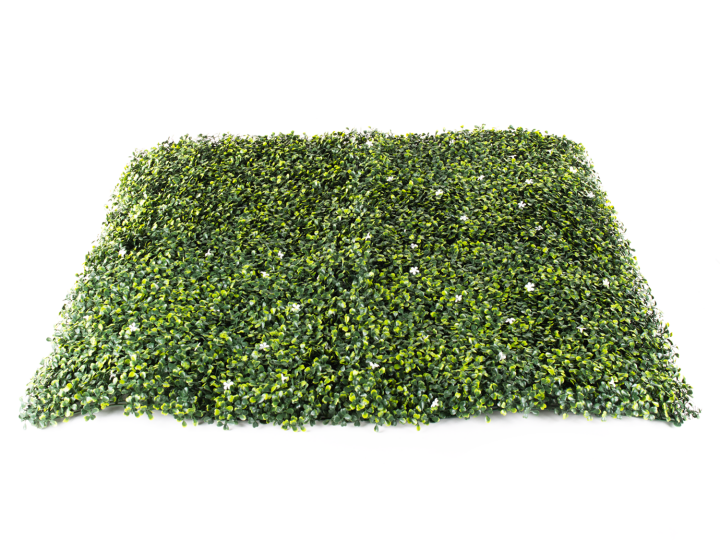 Hawaj virágos Buxus műsövény | 100 x 100 cm  